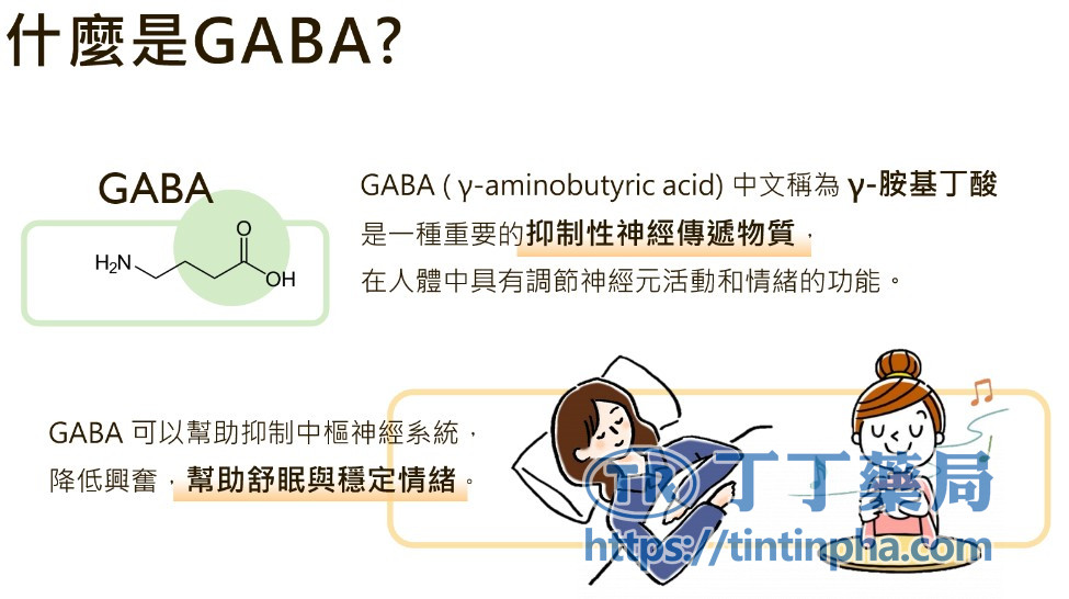 什麼是GABA受體？